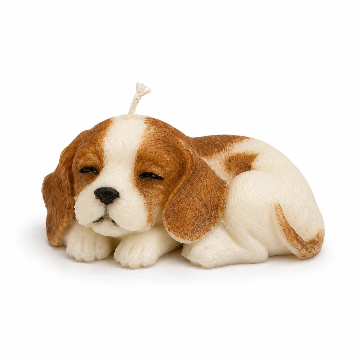 Beagle Recostado