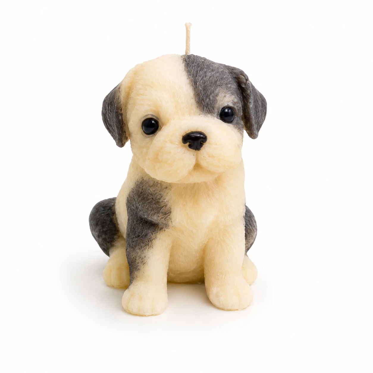 Cachorro Gris Esponjoso