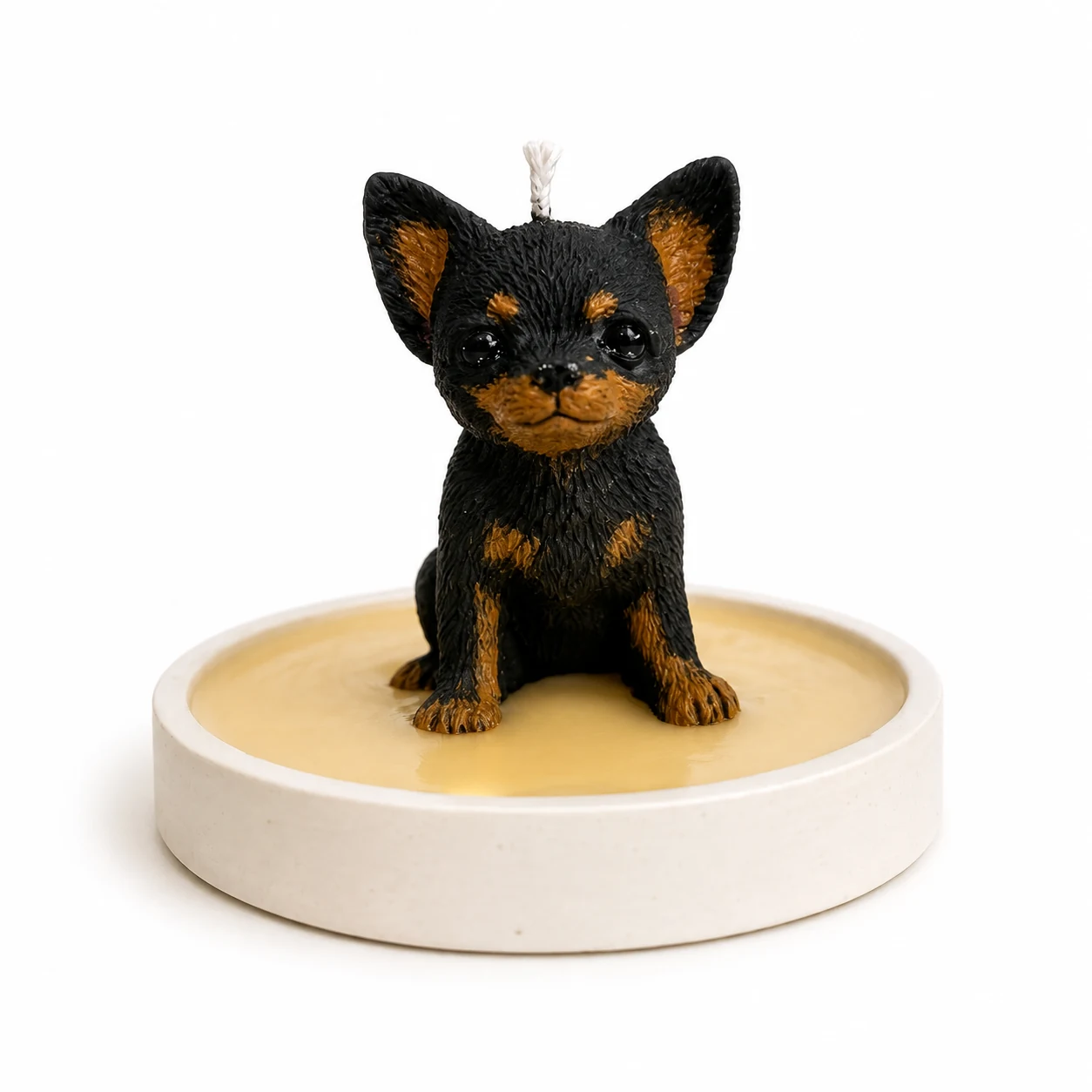 Chihuahua Negro con Base