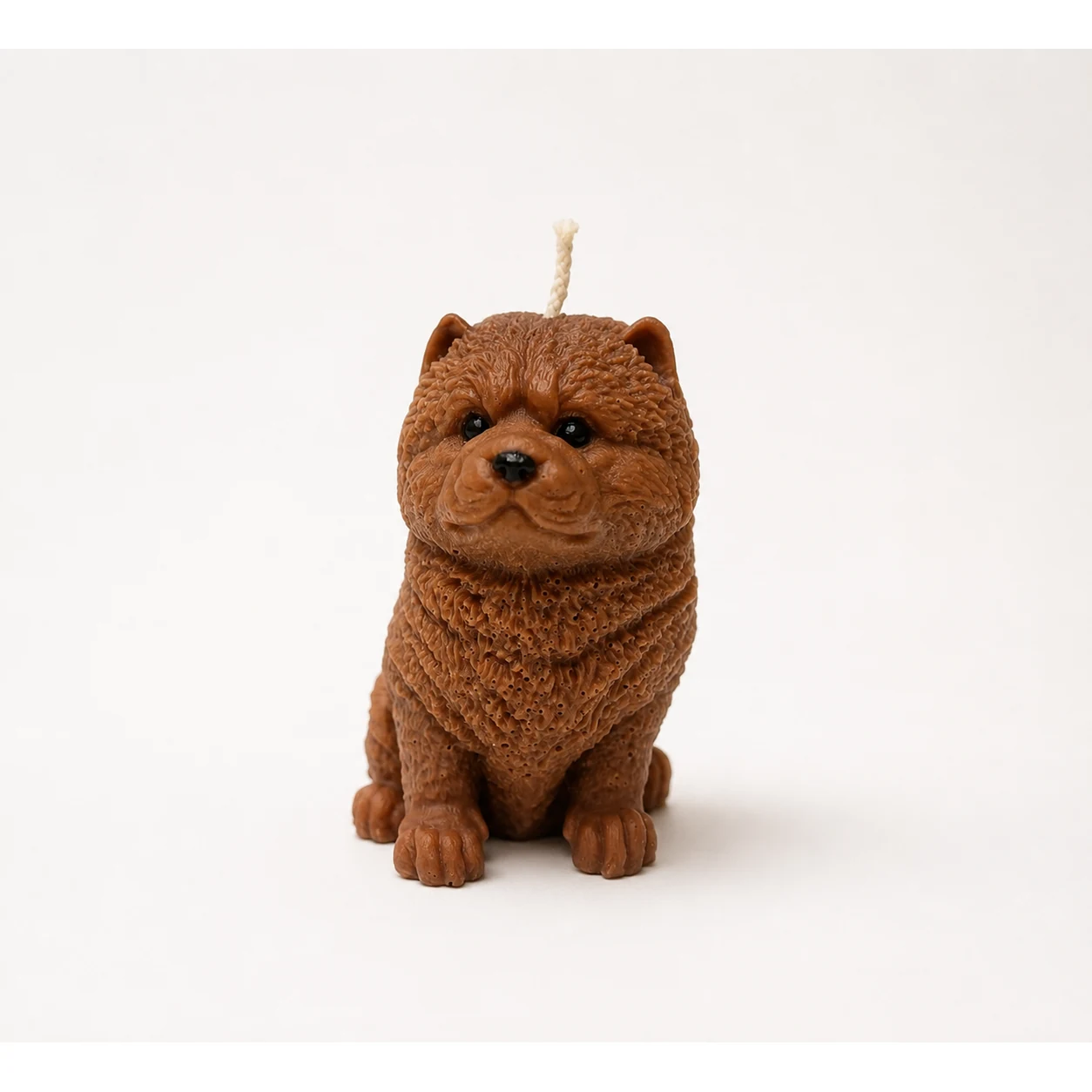 Chow chow