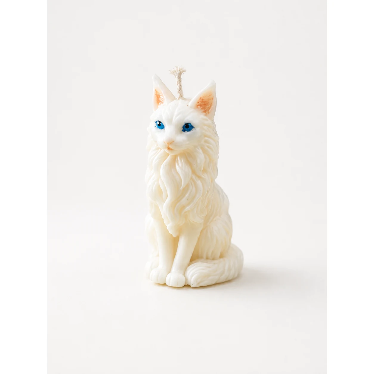 Gatito Persa