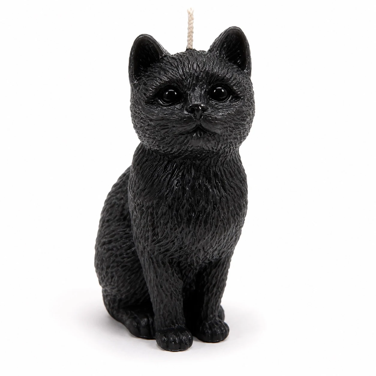 Night Cat