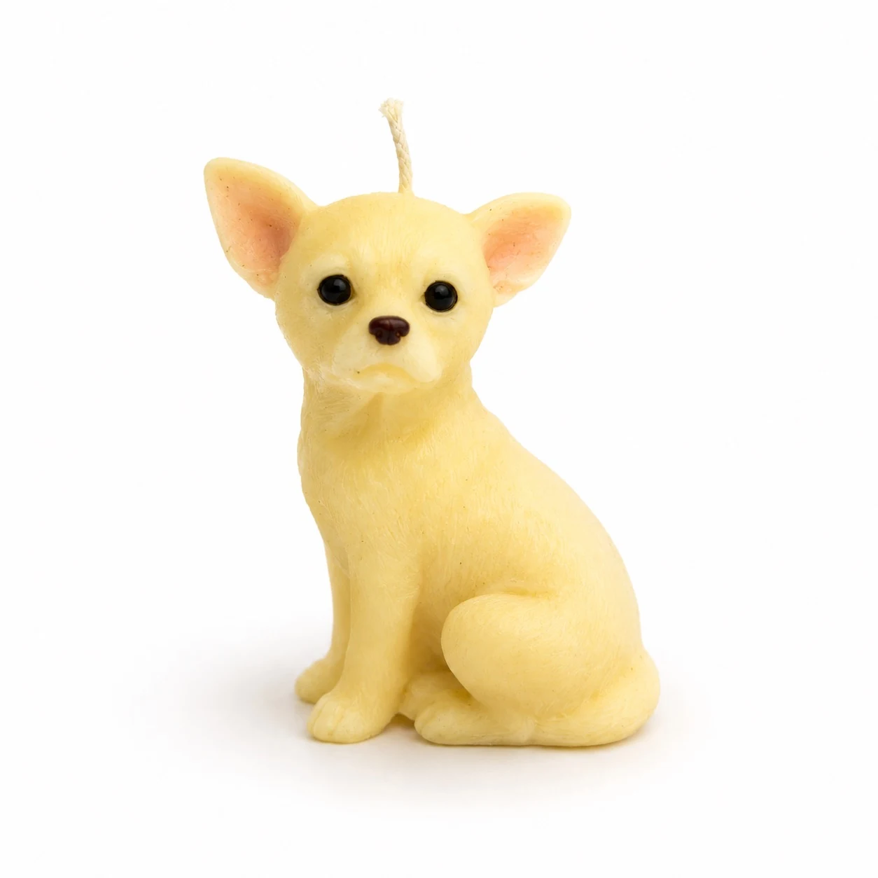 Guardian Chihuahua