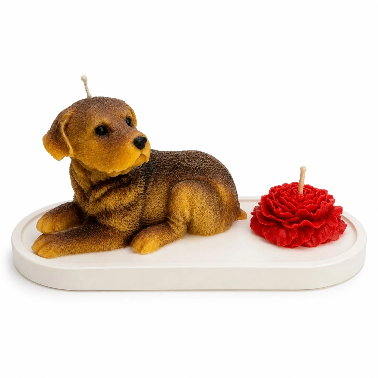 Labrador Retriever with Companion on Base