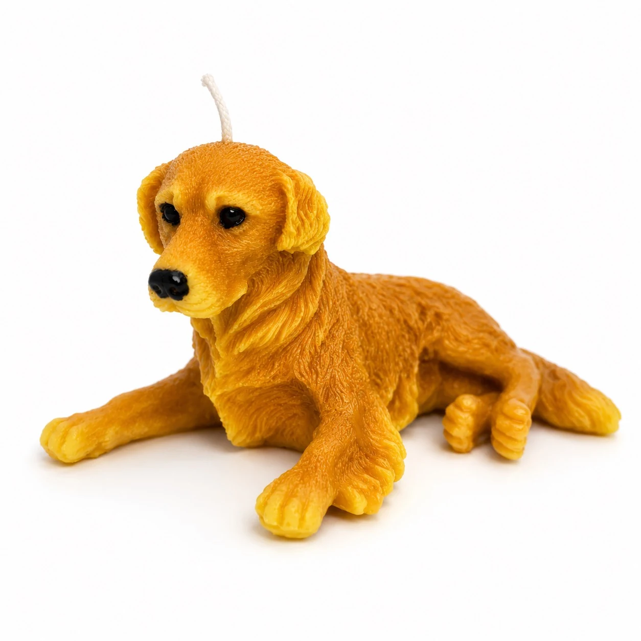Golden Retriever Companion