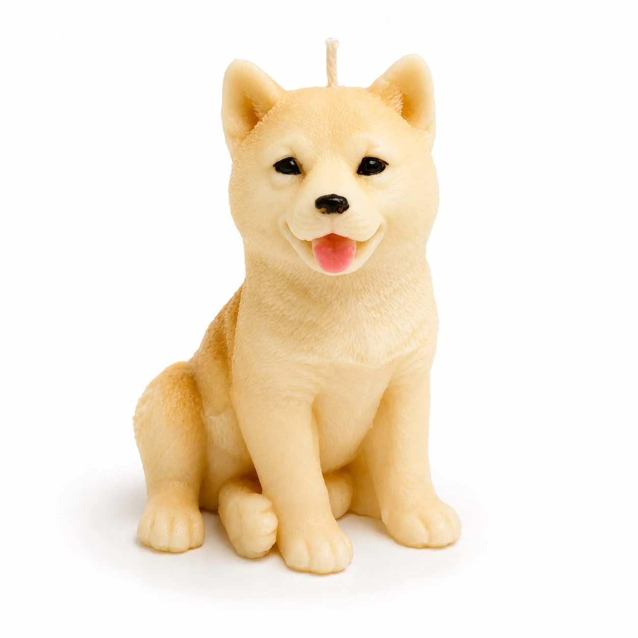 Smiling Shiba Inu
