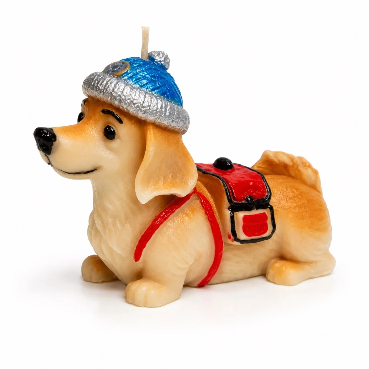 Snow Shiba Inu