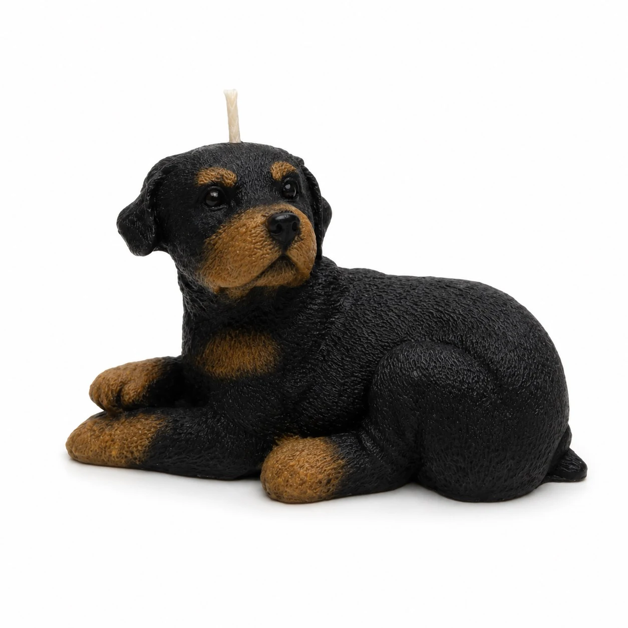 Rottweiler Recostado