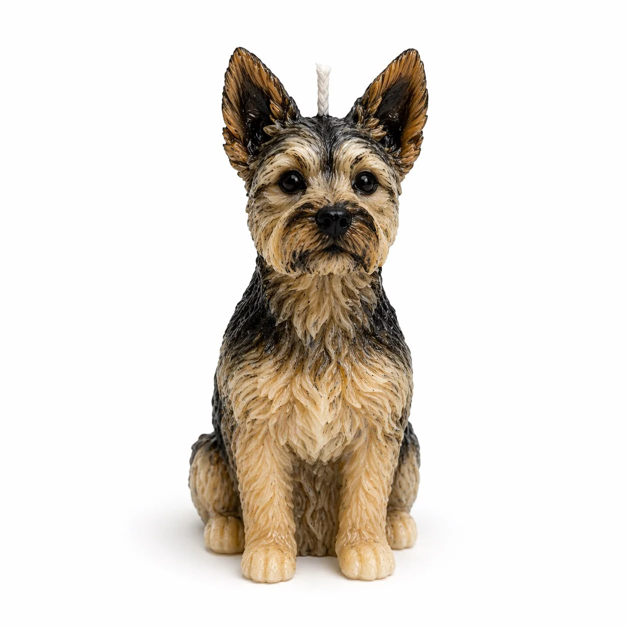 Realistic Yorkshire Terrier