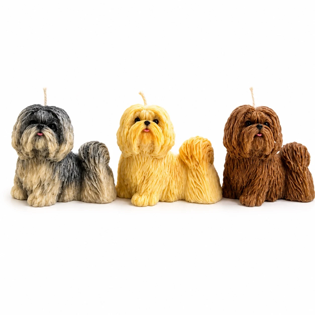 Long-Haired Shih Tzu