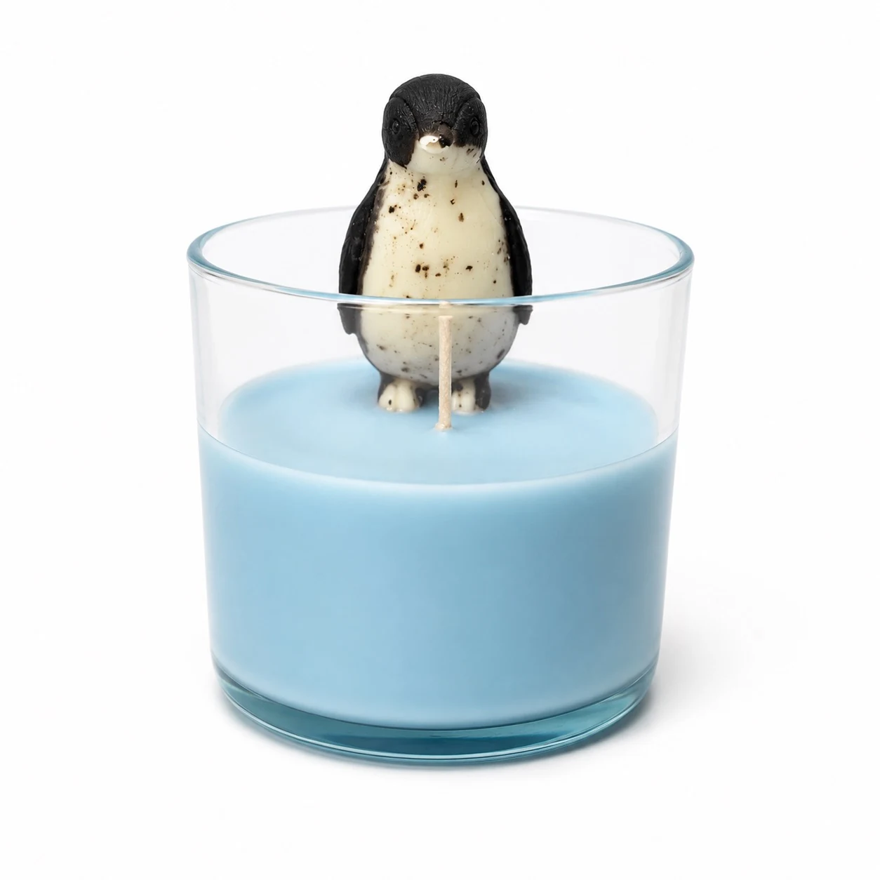 Pingüino en Laguna Azul