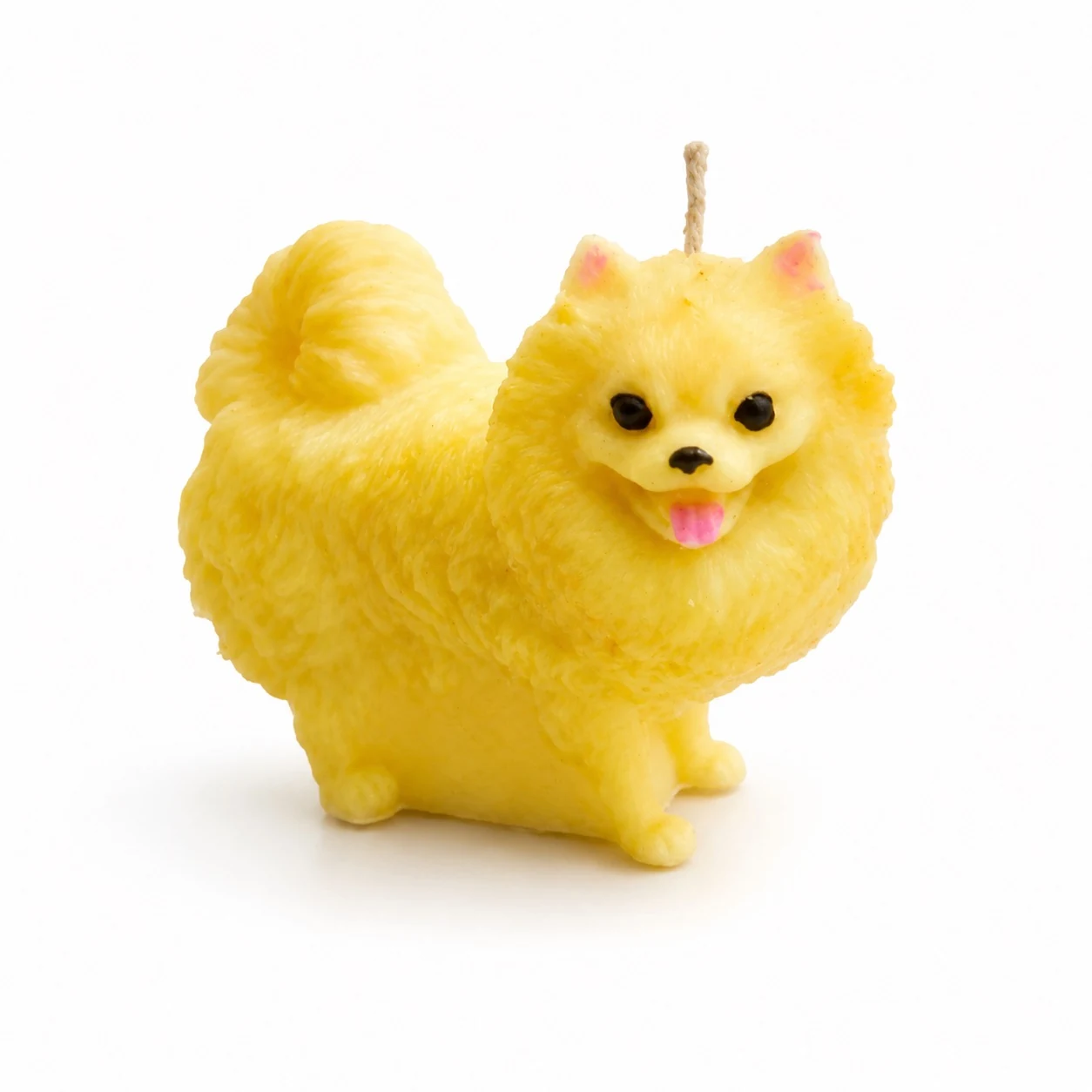 Pomerania