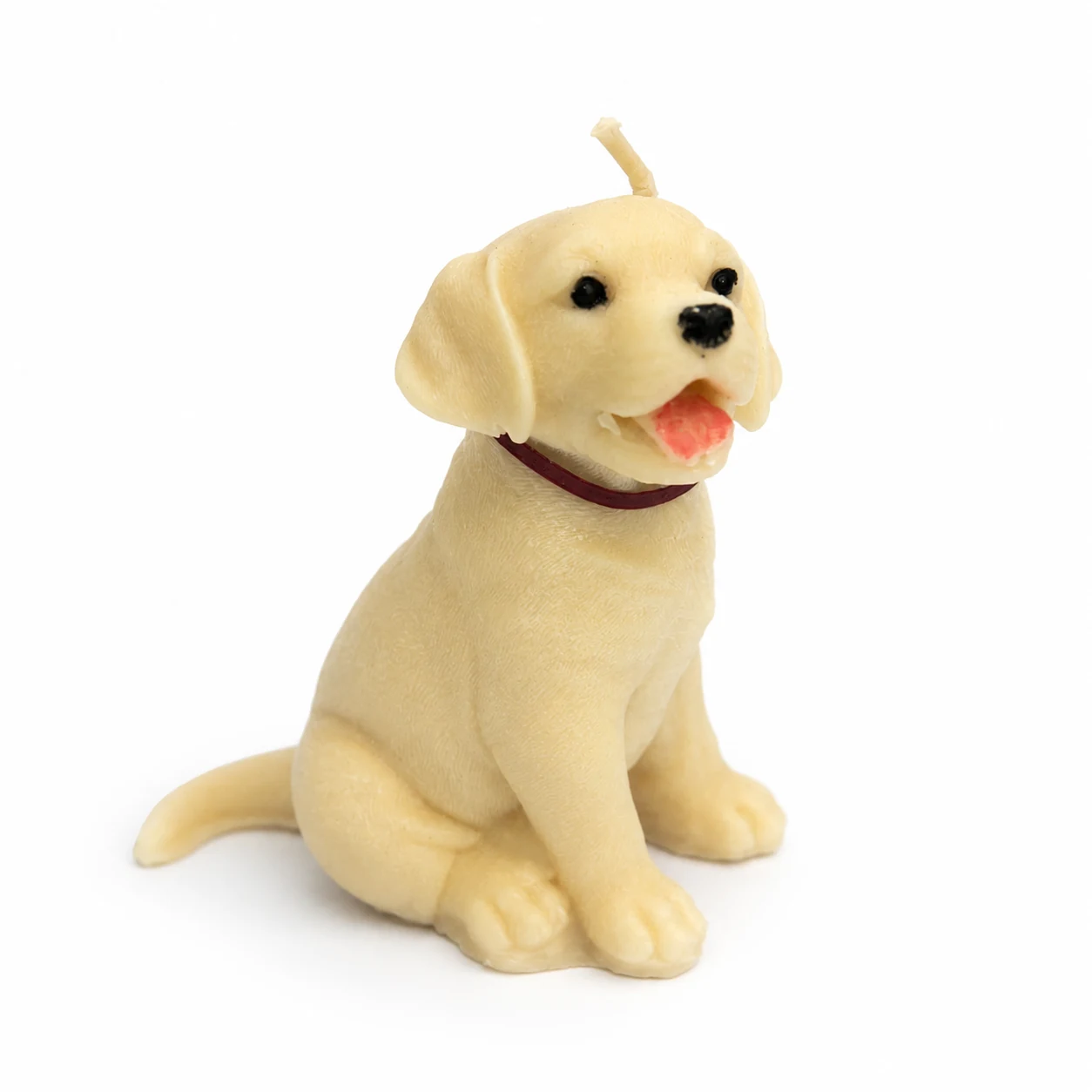 Labrador Cachorro