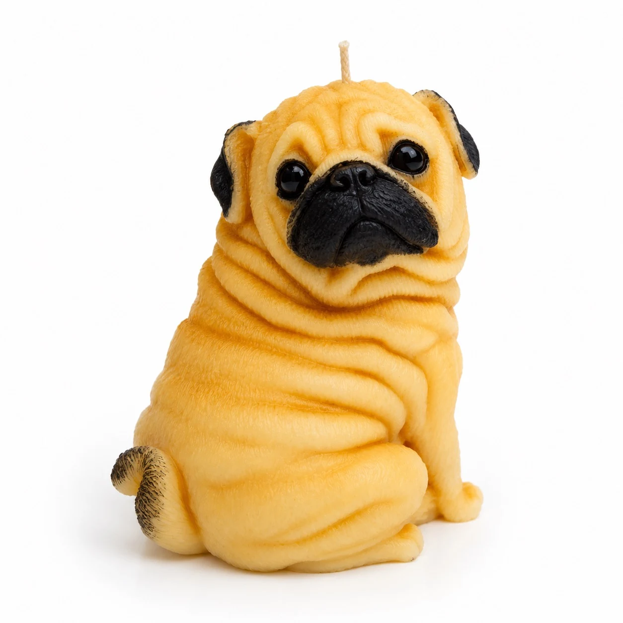 Pug Gordito