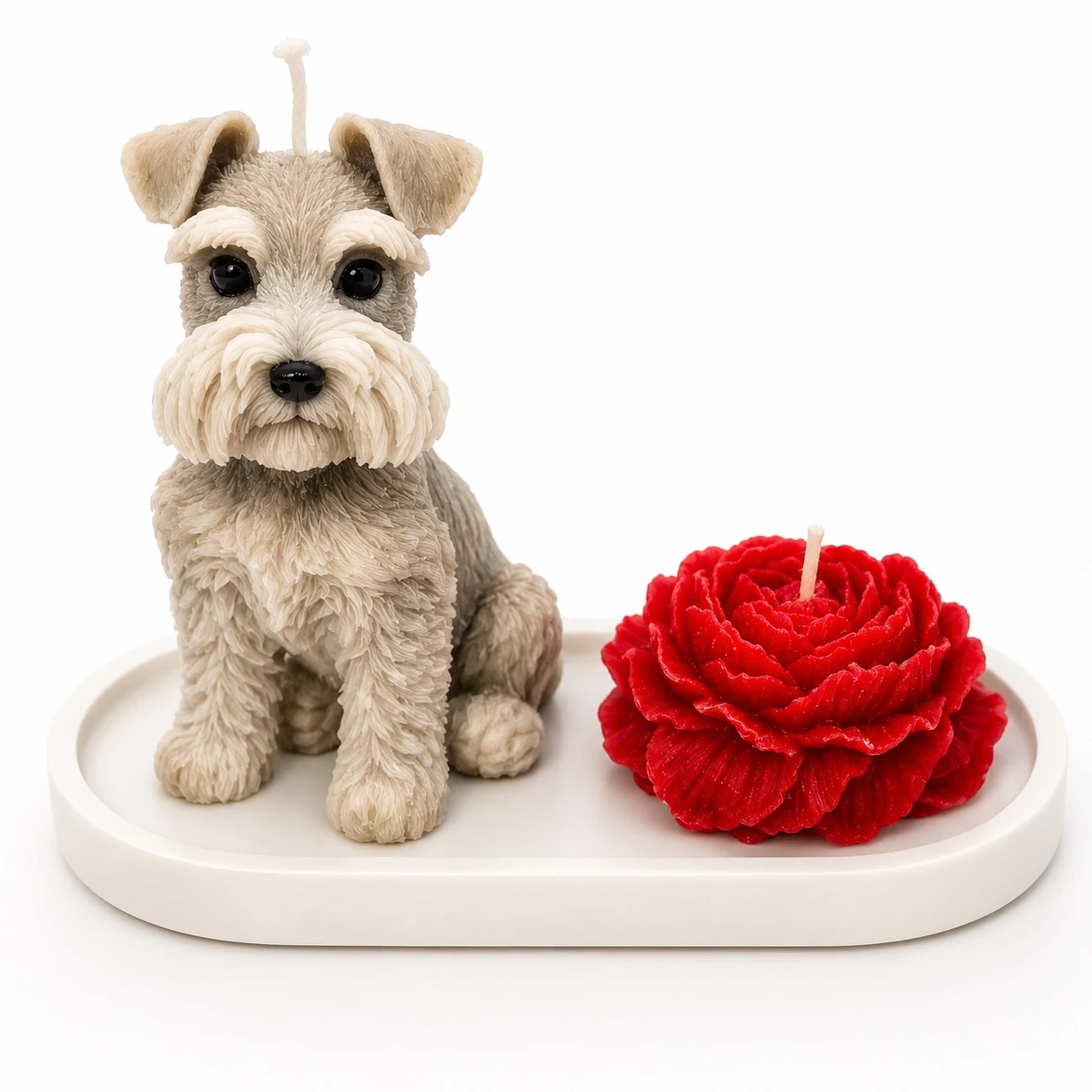 Schnauzer Gris en Base