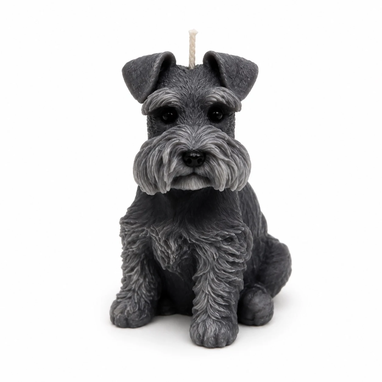 Schnauzer Clásico